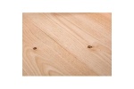 parquet_chat_27_1058940258