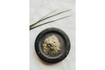 pexels-daria-shevtsova-1619487