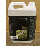 alga