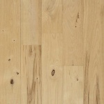 chataignier_rustique