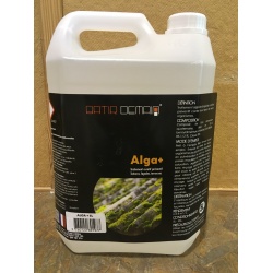 alga