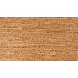 baliry48001