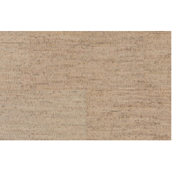 bamboo_artica