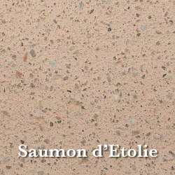 saumon_detolie